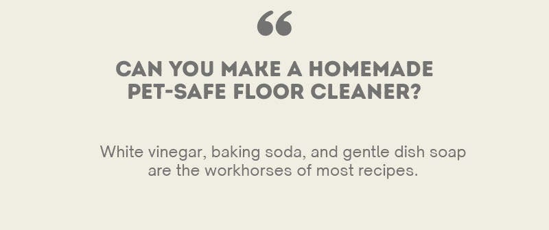 Can You Make A Homemade Pet Safe Floor Cleaner?
