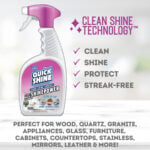 Disinfectant-and-Shine-Power-06232022-0003-2