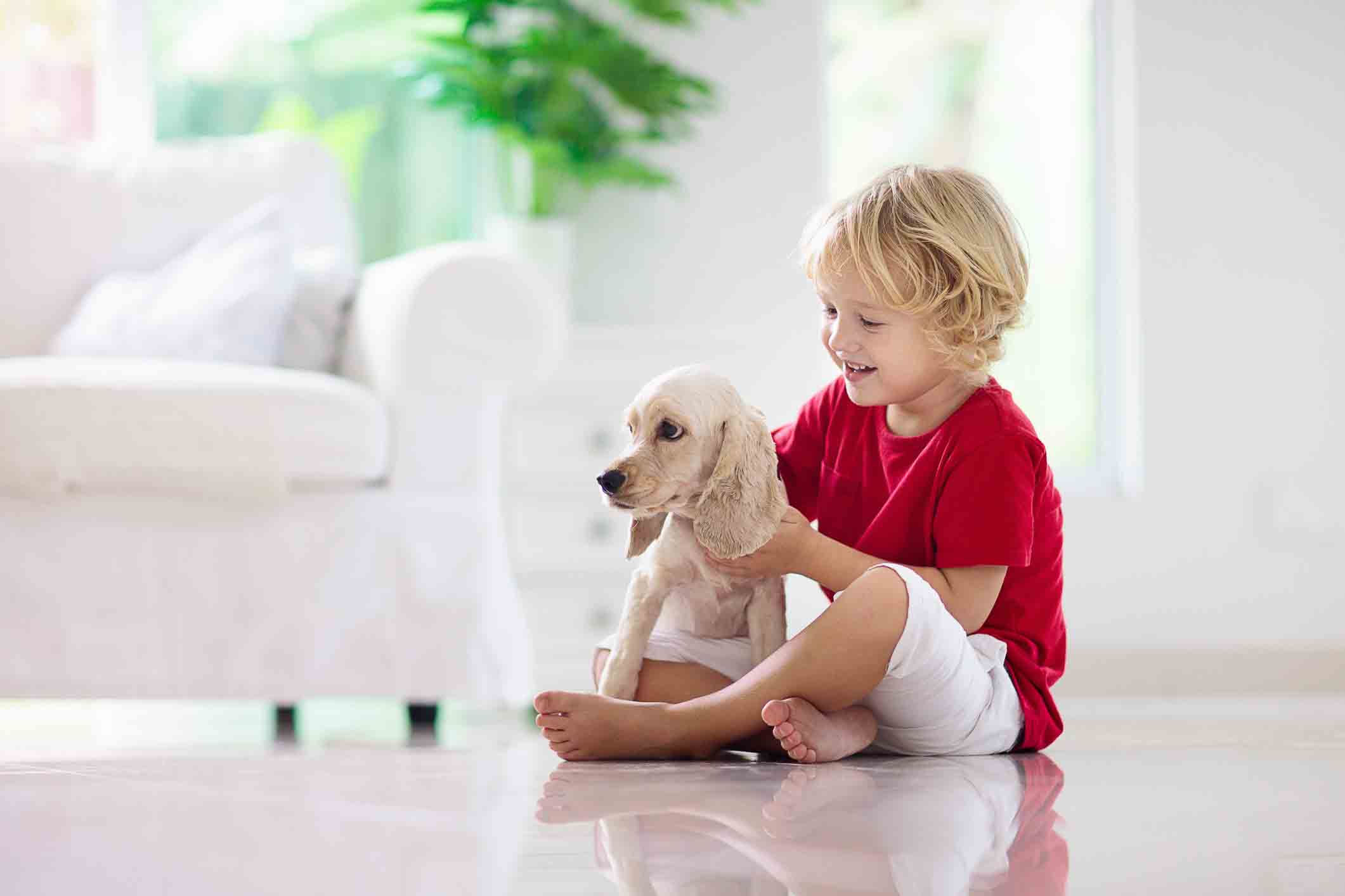 Eco friendly floor cleaner