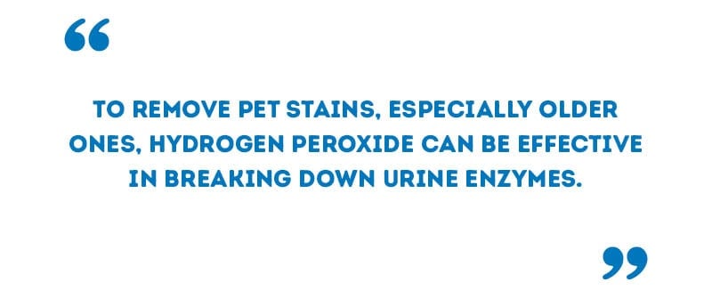 How To Clean Cat Pee Out Of Hardwood Floors?