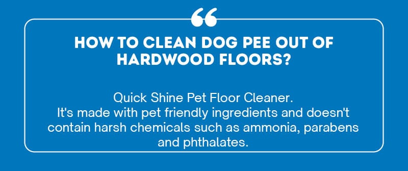 How To Clean Dog Pee Out Of Hardwood Floors?