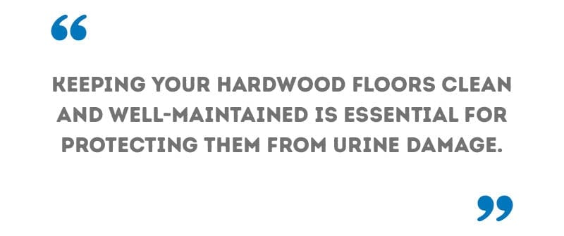 What Can I Put On My Hardwood Floors To Protect Them From Dog Urine?
