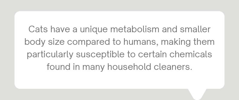 Why Are Some Household Cleaners Toxic To Cats?