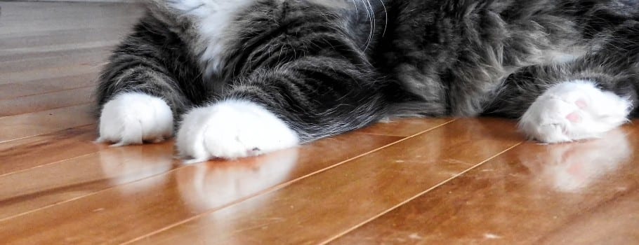 blog how to remedy water spots