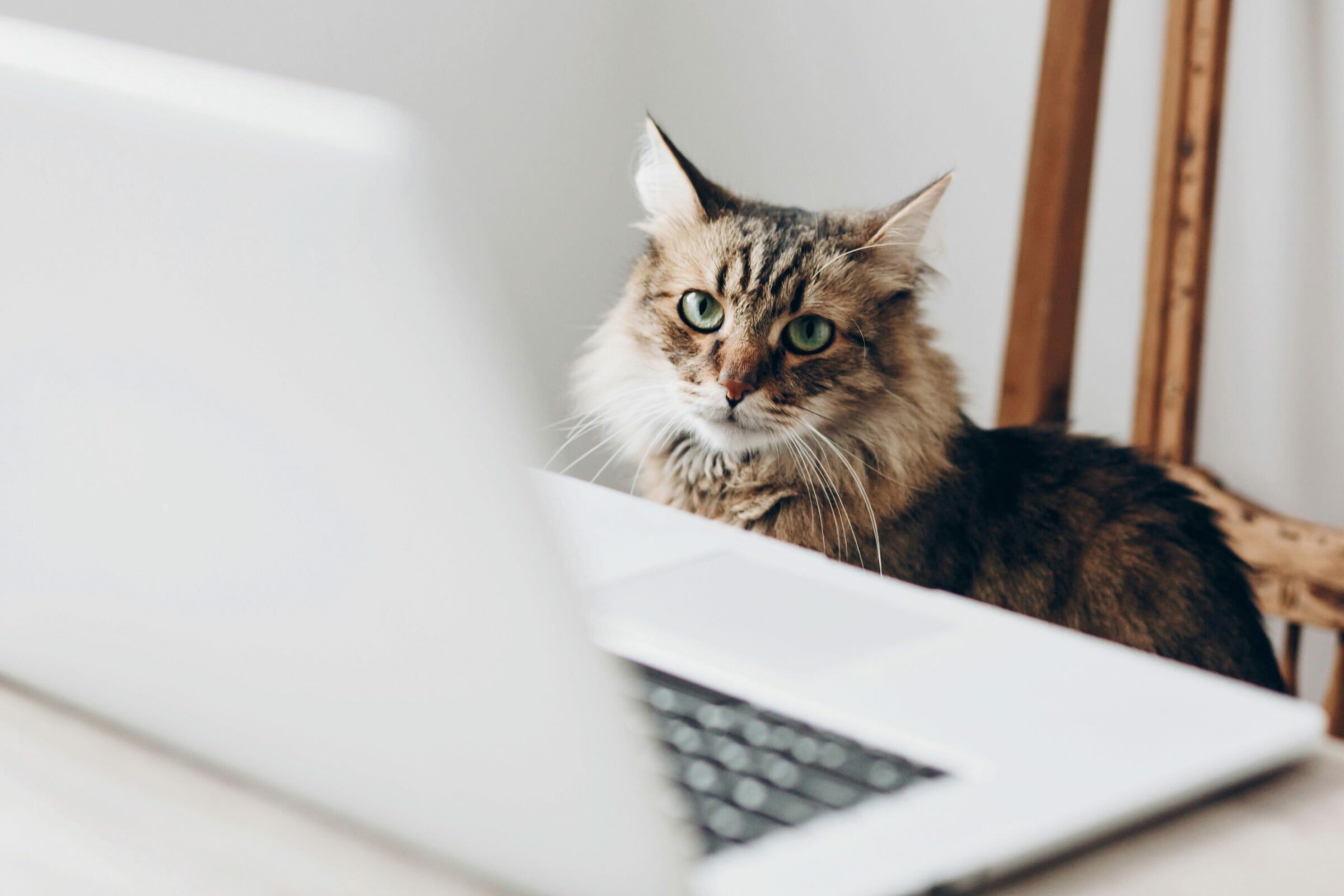 blog q and a with our experts