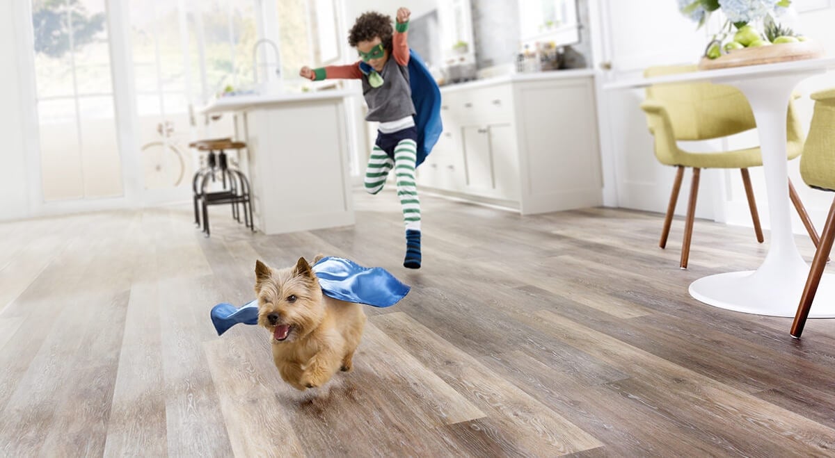 pioneering best laminate flooring for dogs choices pets coles fine