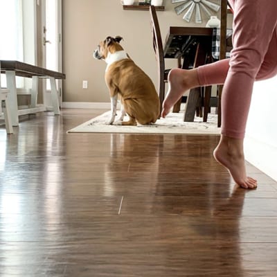 A dog looking out the window while sitting on an area rug under a dining room table